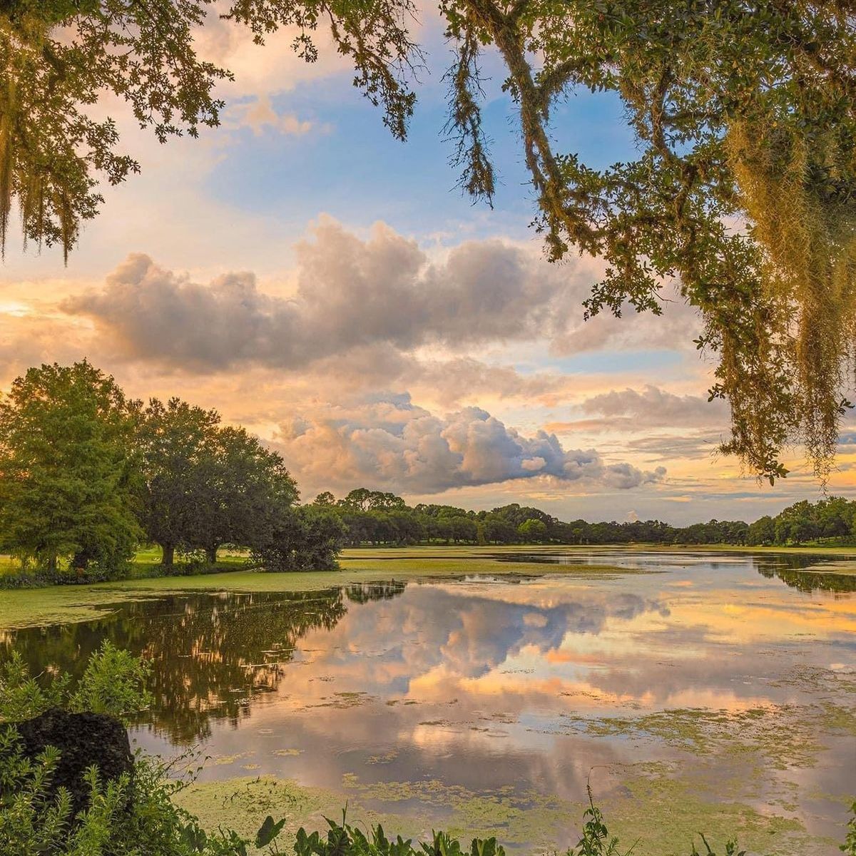 Between Nature and Belief: Illusion, Decay, and the Human&nbsp;Condition